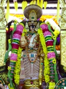 Vaikunda ekadasi 2015 rathina angi perumal